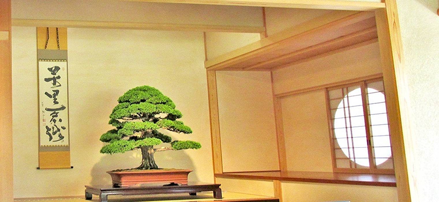 Bonsai und Tokonoma, LuxuryTrees ® LuxuryTrees ® ห้องนั่งเล่น