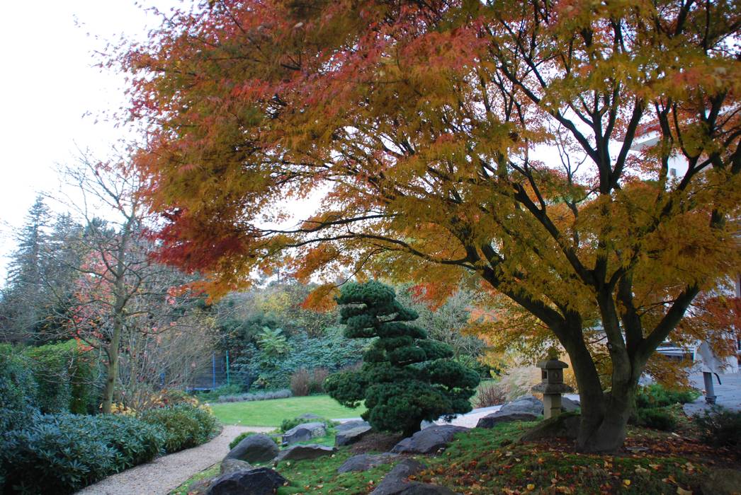 Umgestaltung eines privaten Wohngartens am Hang, dirlenbach - garten mit stil dirlenbach - garten mit stil Asian style garden