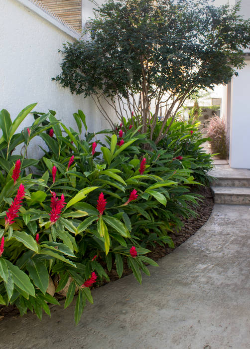 homify Tropical style gardens