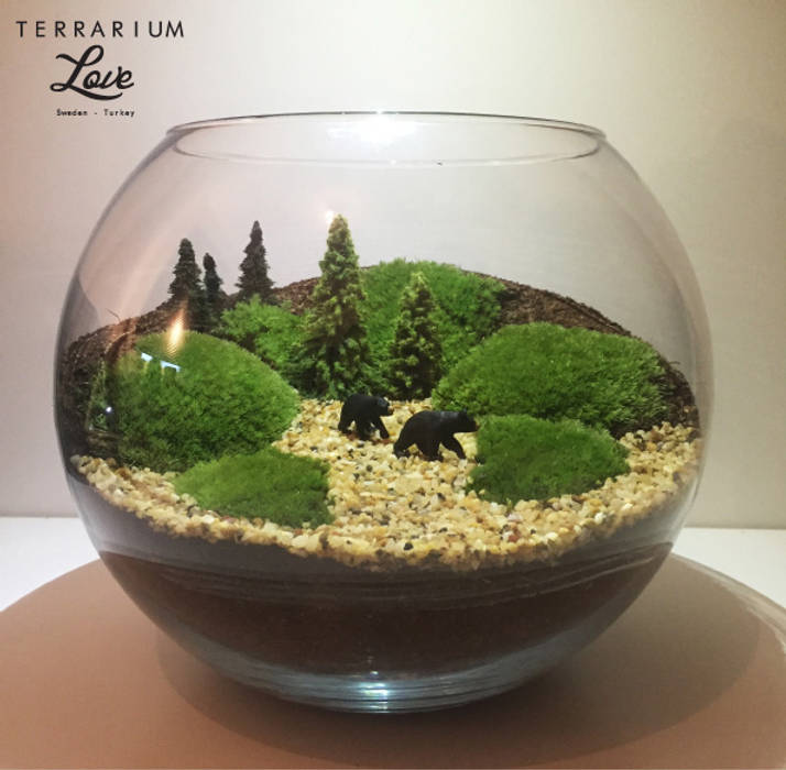 Bear Terrarium, Terrarium love Terrarium love حديقة داخلية تصميم مساحات داخلية