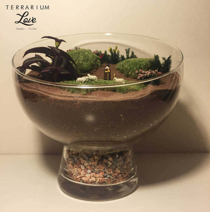 Shephard Terrarium Terrarium love İç bahçe İç Dekorasyon