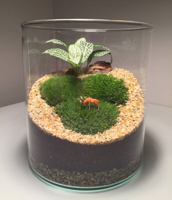 Deer Terrarium Terrarium love İç bahçe İç Dekorasyon