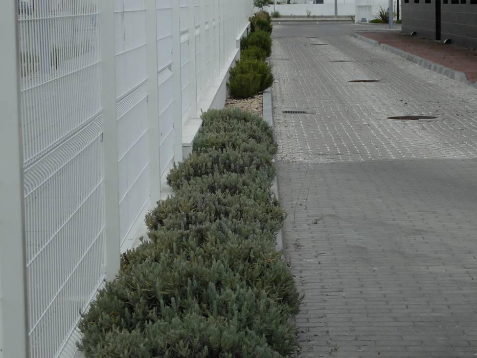 Zonas verdes em clínica, Atelier Jardins do Sul Atelier Jardins do Sul Jardines de estilo ecléctico