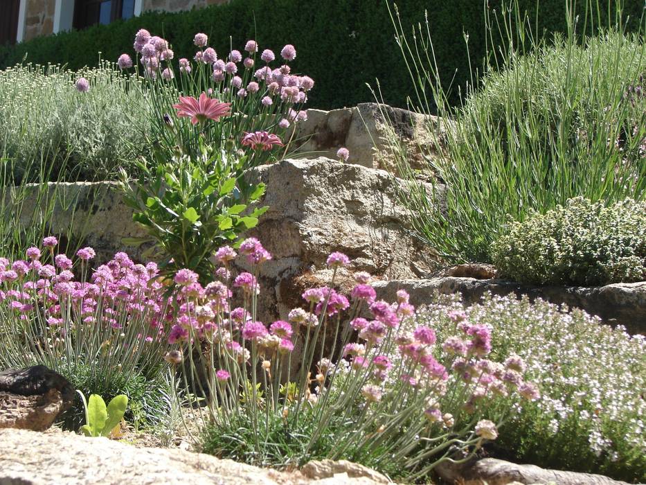 Jardim de aromáticas, andré nascimento-arquitetura paisagista andré nascimento-arquitetura paisagista Garten im Landhausstil