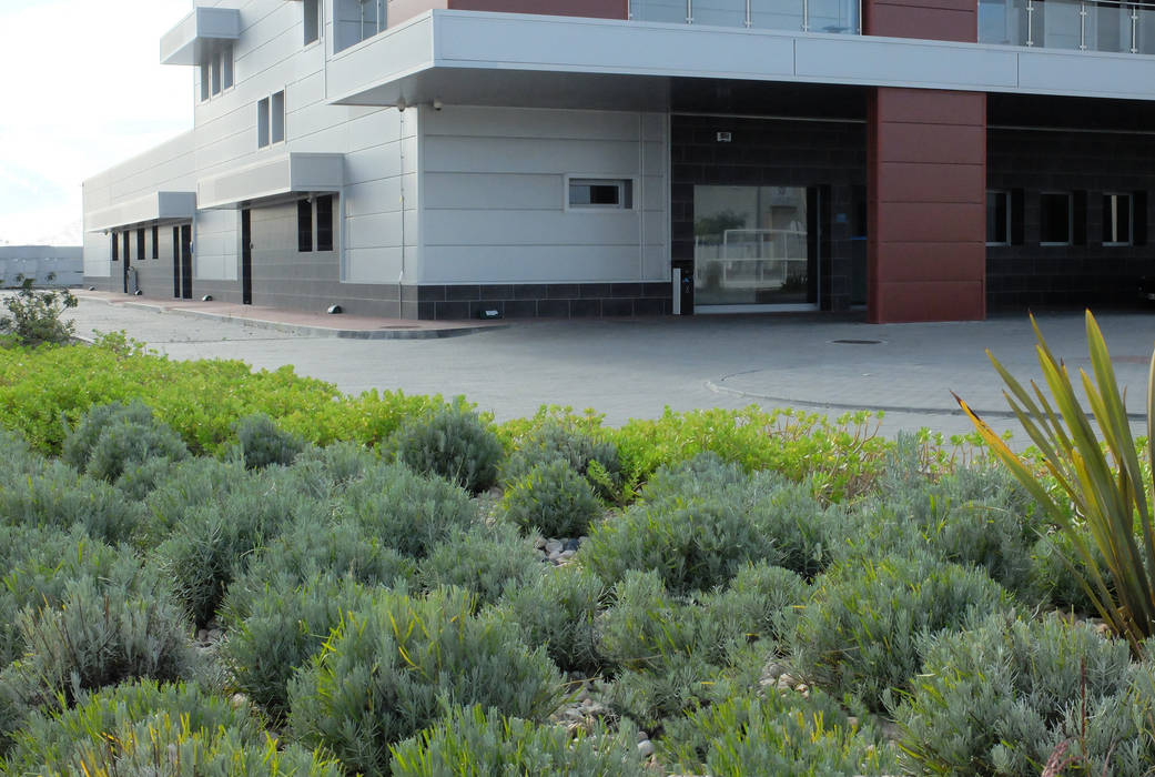 Zonas verdes em clínica, Atelier Jardins do Sul Atelier Jardins do Sul Сад в эклектичном стиле