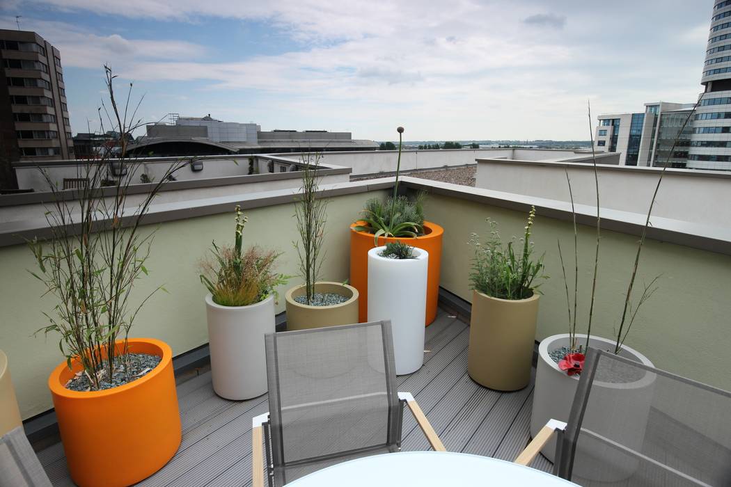 Vibrant Roof Terrace Yorkshire Gardens Modern balcony, veranda & terrace