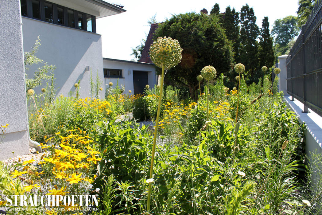 Ausgefallene Staudenpflanzung für sonnigen Vorgarten, Strauchpoeten Strauchpoeten Modern style gardens