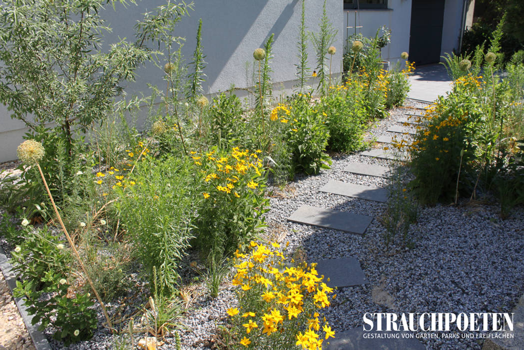 Ausgefallene Staudenpflanzung für sonnigen Vorgarten, Strauchpoeten Strauchpoeten Jardin moderne