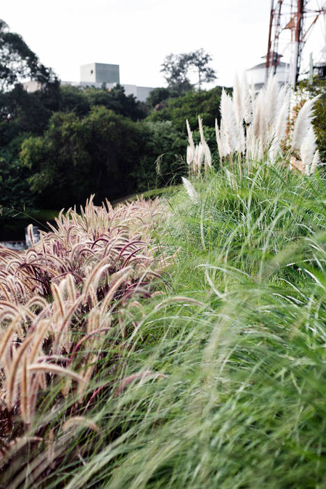 Bruxelas, Camila Vicari Arquitetura da Paisagem Camila Vicari Arquitetura da Paisagem Modern Terrace