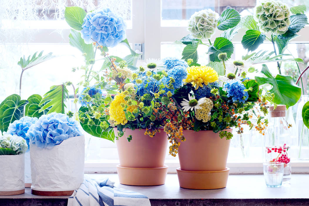 Sommerblumen, Tollwasblumenmachen.de Tollwasblumenmachen.de Living room