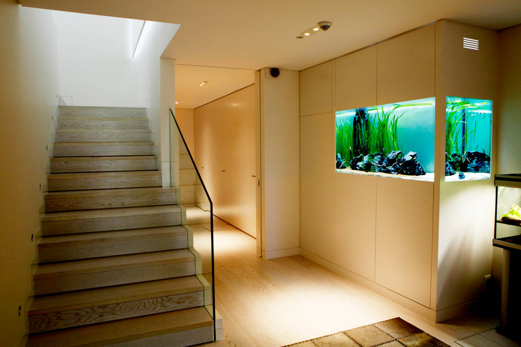 ADn freshwater aquarium ADn Aquarium Design Corredores, halls e escadas modernos Acessórios e decoração