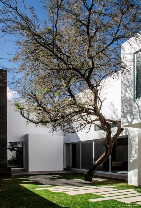 casaMEZQUITE, BAG arquitectura BAG arquitectura Casas modernas Vidrio