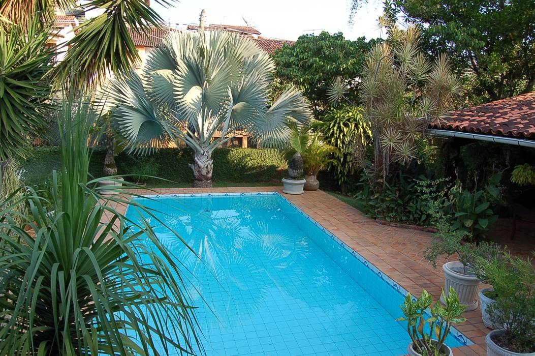 Casa Palmeira Azul Emmilia Cardoso Designers Associados Piscinas Modernas Homify