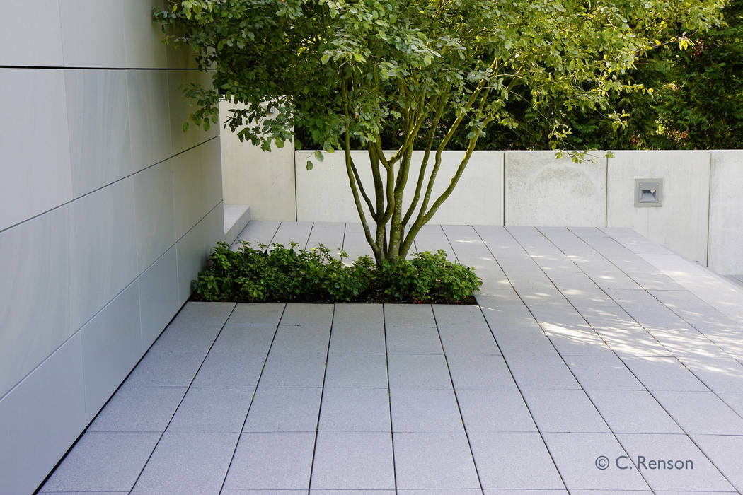 Felsenbirne Eingepasst In Klare Formen Moderner Garten Von Dirlenbach Garten Mit Stil Modern Homify