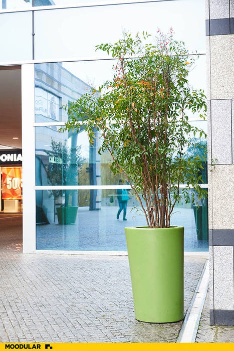 Vasos no Forum Viseu produzidos pela Moodular, MOODULAR MOODULAR Espaços comerciais design,decoração,mobiliário,corian,centro comercial,Centros comerciais