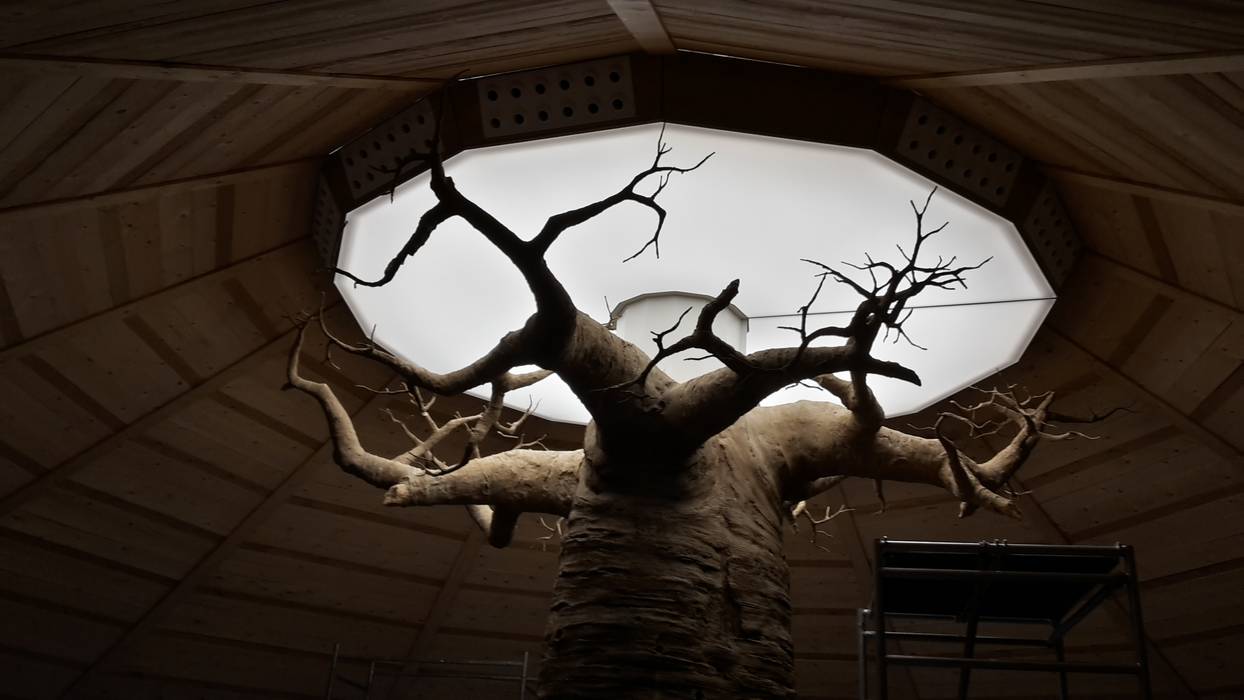 soffitto teso su baobab, artesa srl artesa srl Spazi commerciali Spazi commerciali
