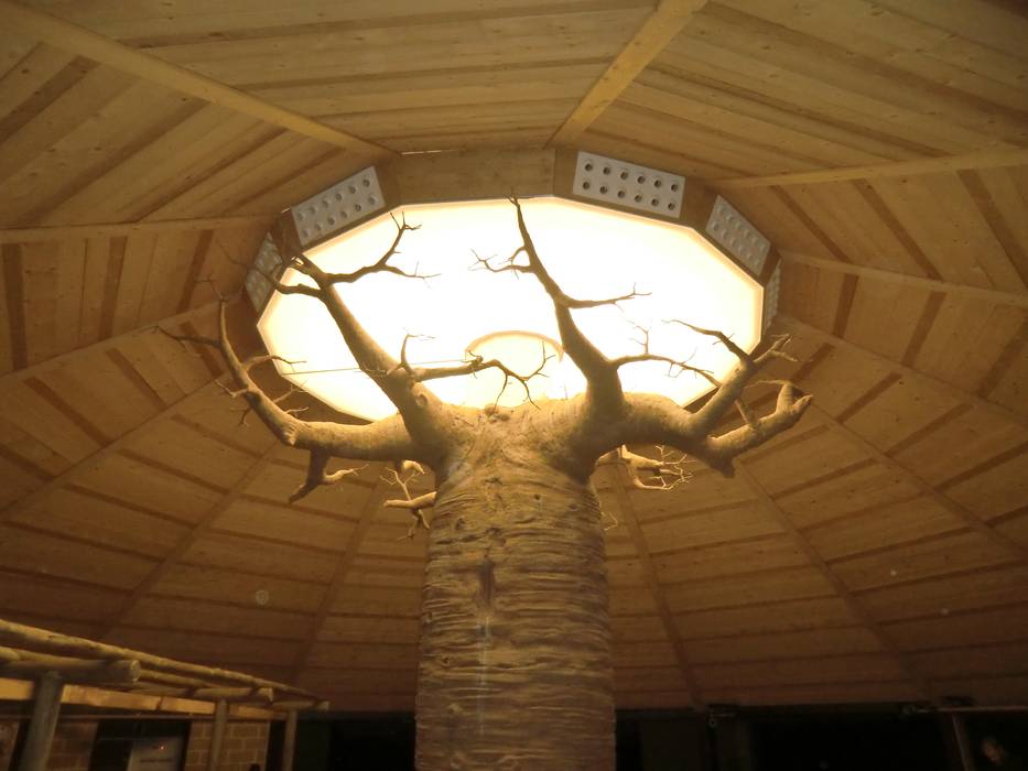 soffitto teso su baobab, artesa srl artesa srl Spazi commerciali Spazi commerciali