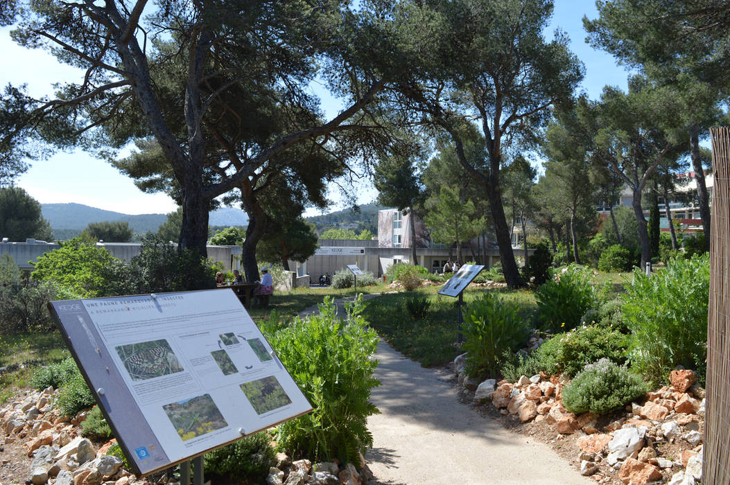 Sentier découverte de la biodiversité des Calanques, Landscape Design Environnement Landscape Design Environnement Commercial spaces Schools