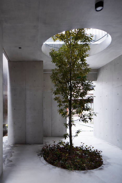 Casa Verde, 株式会社 藤本高志建築設計事務所 株式会社 藤本高志建築設計事務所 Modern Garden Concrete Green
