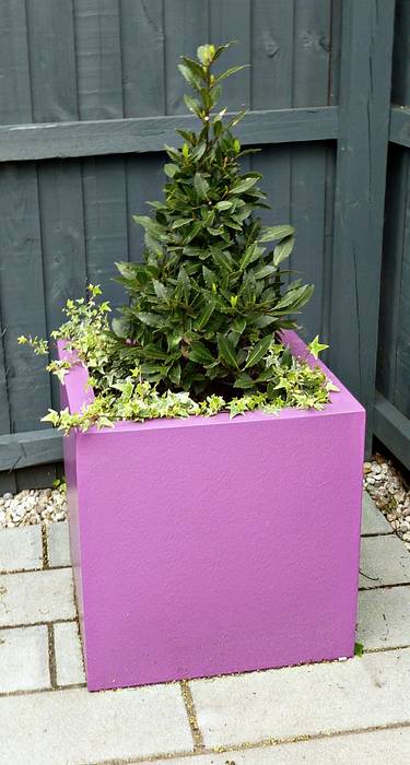 Bay tree cone in fibreglass planter Gardenplan Design Jardins modernos