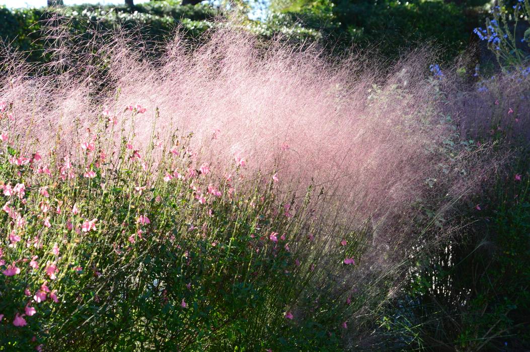 Elégance d'un jardin, PATXI CASTRO PATXI CASTRO Jardines de estilo mediterráneo