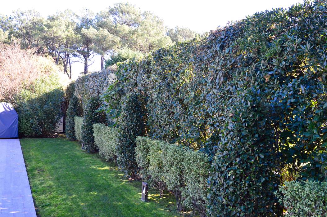 Elégance d'un jardin, PATXI CASTRO PATXI CASTRO Сад