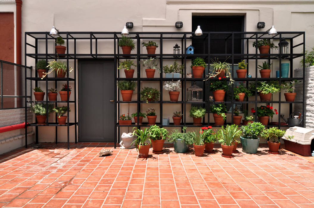 Patio Matealbino arquitectura Balcones y terrazas modernos: Ideas, imágenes y decoración estanteria de planta