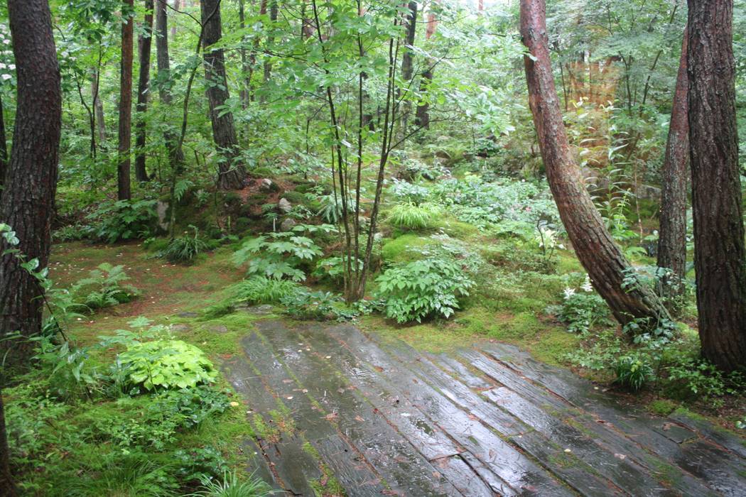 有明K邸, 庭のクニフジ 庭のクニフジ 庭院