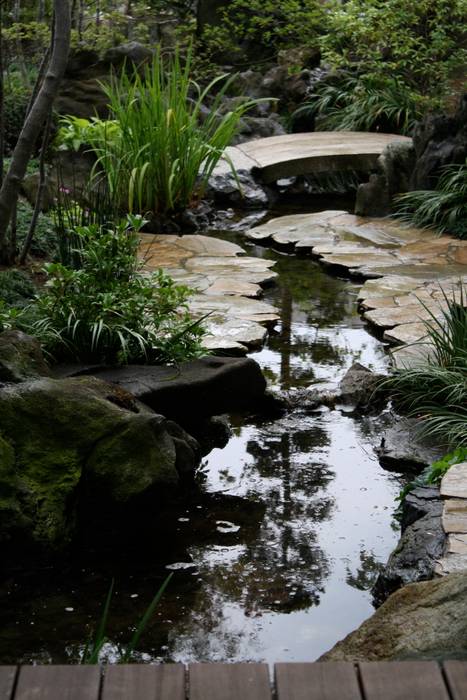 松本T邸, 庭のクニフジ 庭のクニフジ Modern style gardens