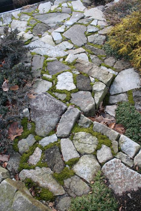 池田A邸, 庭のクニフジ 庭のクニフジ Modern garden