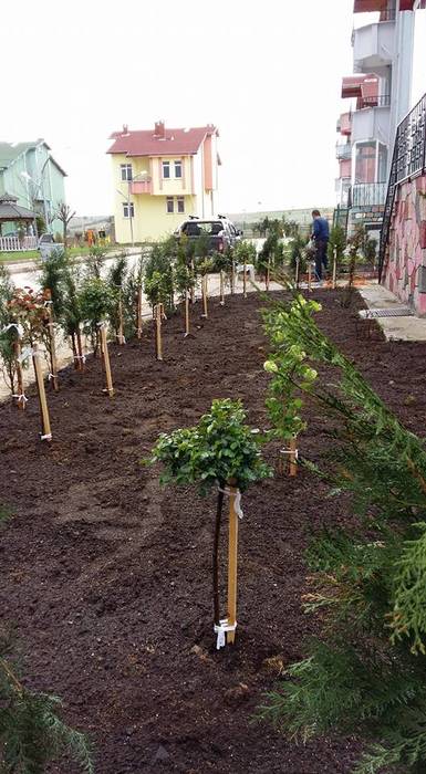 Çalışmalarımız, Cemre Fidancılık Peyzaj ve Ahşap Yapı Cemre Fidancılık Peyzaj ve Ahşap Yapı Modern Bahçe