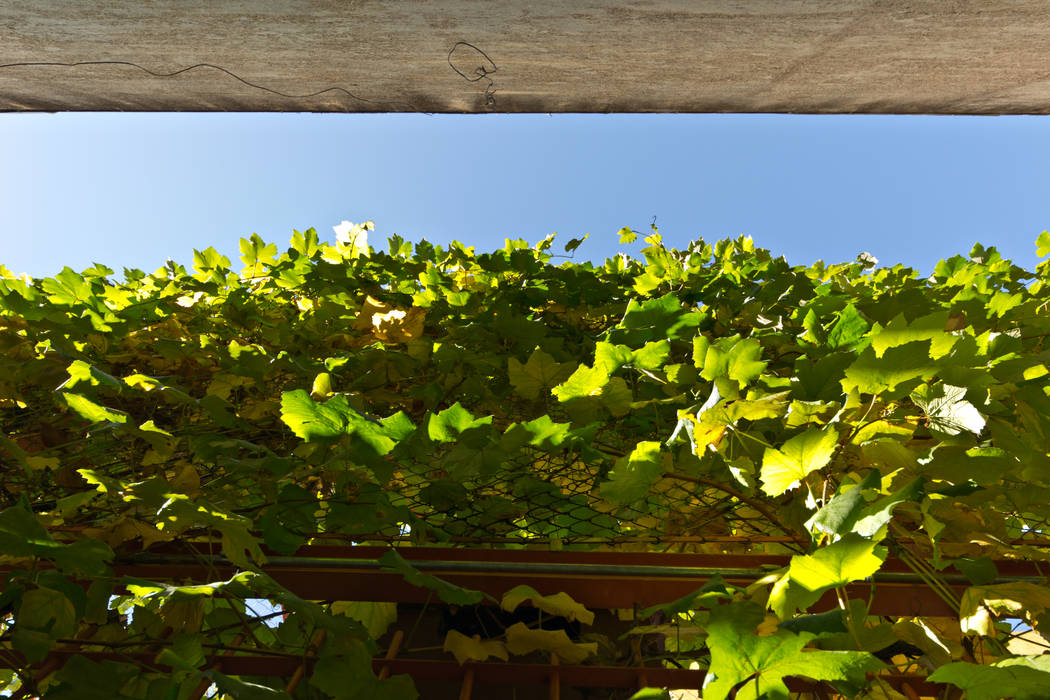 Дома в стиле минимализм от Pop Arq Минимализм