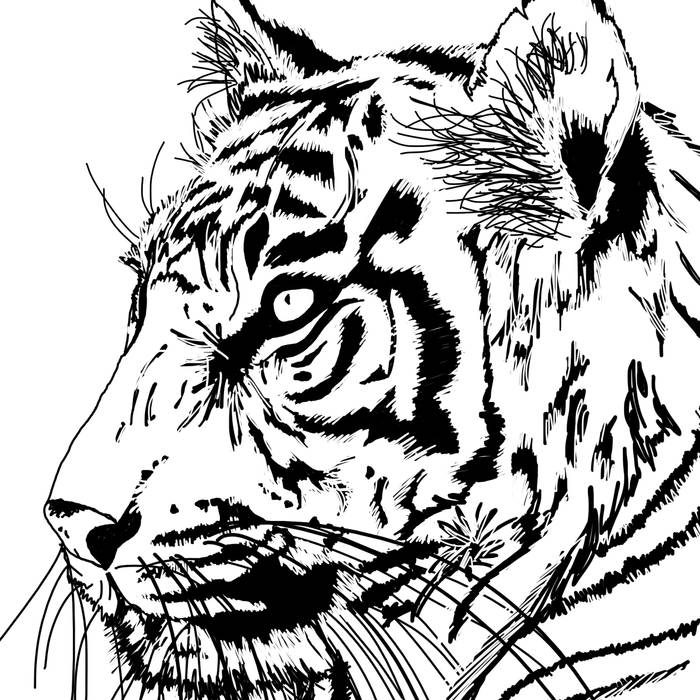 Tiger Line Drawing Modern By Bymarie Modern Homify