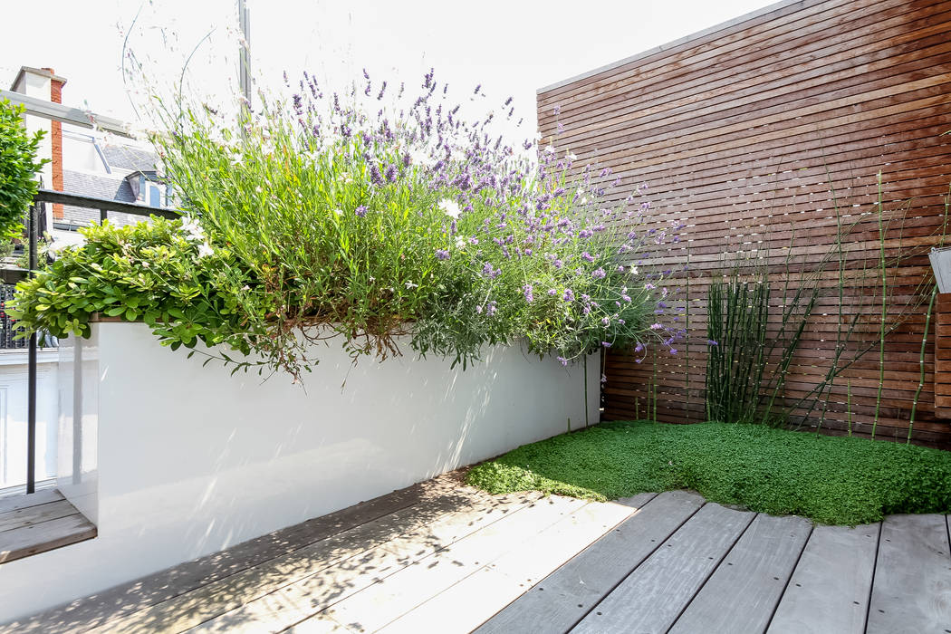 Rambuteau, Terrasses des Oliviers - Paysagiste Paris Terrasses des Oliviers - Paysagiste Paris Modern style balcony, porch & terrace