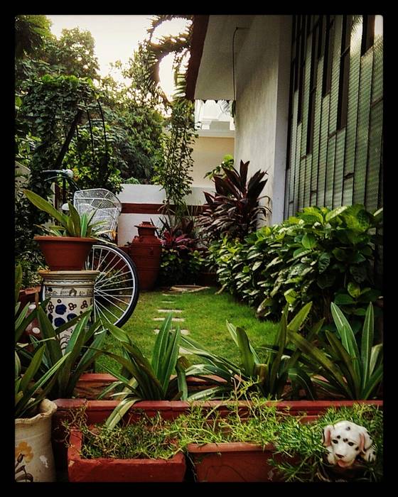 Mr.M's garden Designink Architecture and Interiors Rustic style garden Plant,Houseplant,Flowerpot,Tire,Window,Wheel,Green,Leaf,Botany,Tree