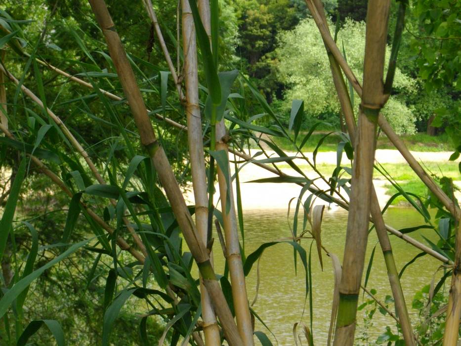 Venda de Quinta na Cidade de Coimbra, Green Lands Green Lands