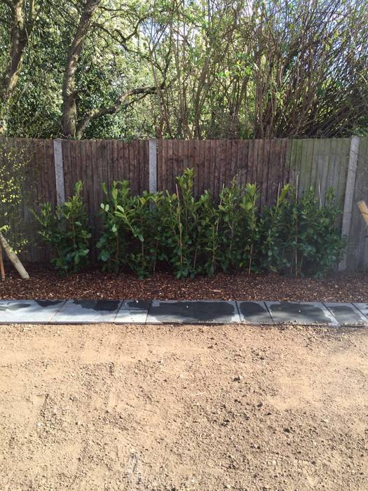 Garden and Driveway Design and Installation, TDS Paving and Landscaping TDS Paving and Landscaping