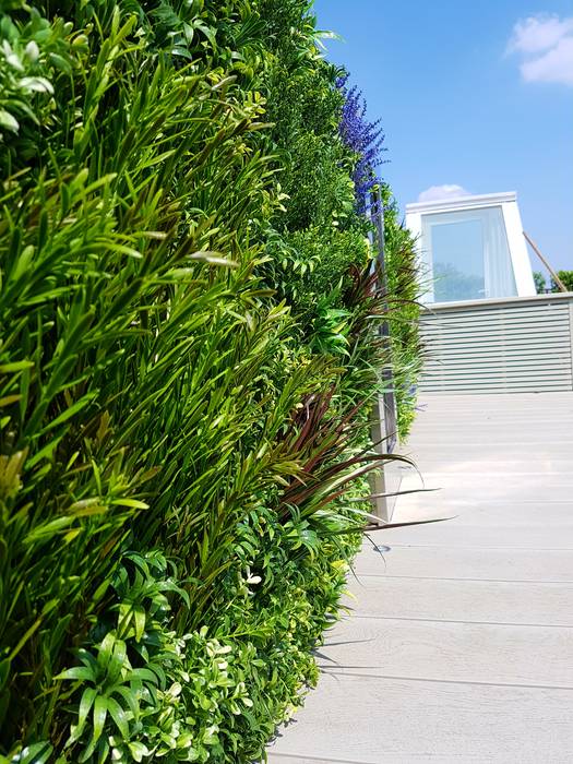 Artificial green wall Paul Newman Landscapes Balcones y terrazas de estilo moderno artificial,green wall,millboard