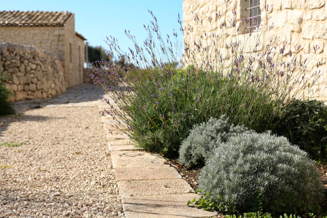 MASSERIA D'ESTIA, BB Architettura del Paesaggio BB Architettura del Paesaggio Giardino in stile mediterraneo