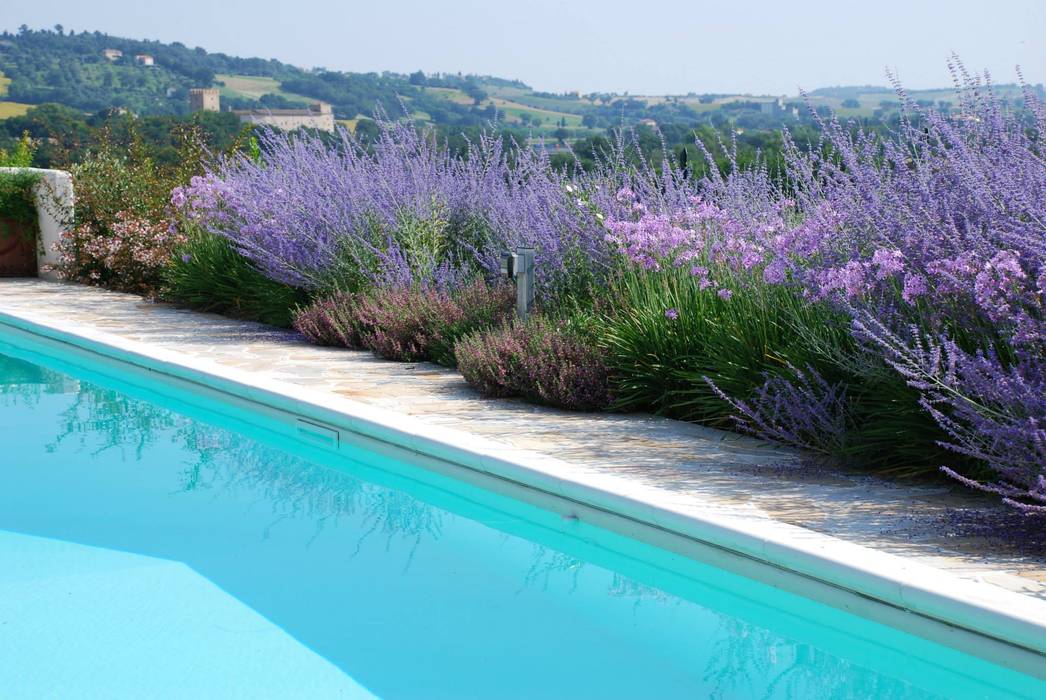 PISCINE, Studio Architettura del Paesaggio Giardini Giordani di Luigina Giordani Studio Architettura del Paesaggio Giardini Giordani di Luigina Giordani Pool