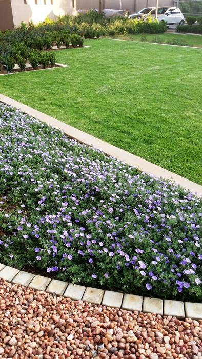 Gorgeous Gardens Modern Garden