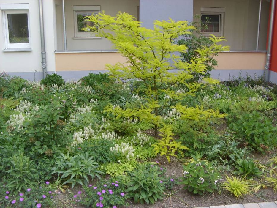 ServiceWohnen Coburg-Cortendorf, KAISER + KAISER - Visionen für Freiräume GbR KAISER + KAISER - Visionen für Freiräume GbR Klassieke tuinen Planten & bloemen