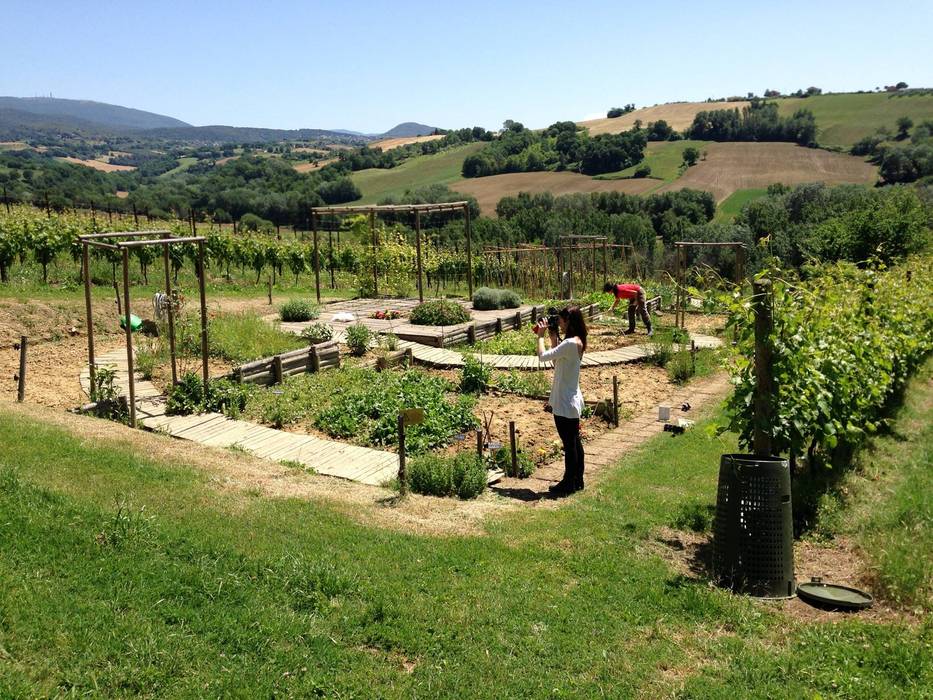 GREEN STEPS - vegetable garden on different levels, A3PAESAGGIO A3PAESAGGIO Modern Garden