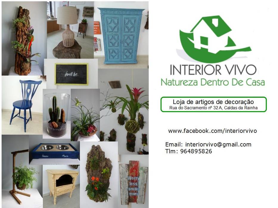 Loja de artigos de decoração, Interior Vivo Interior Vivo Комерційні приміщення Офісні приміщення та магазини