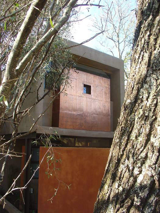 Boshuis, Bloemfontein, Free State Smit Architects Minimalist house copper,modern,Free State,Regionalism,contemporary,earthy colours,forest