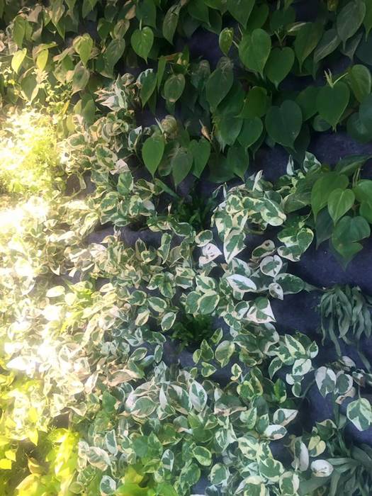 Pine cliffs restaurante zest ecossistemas homify