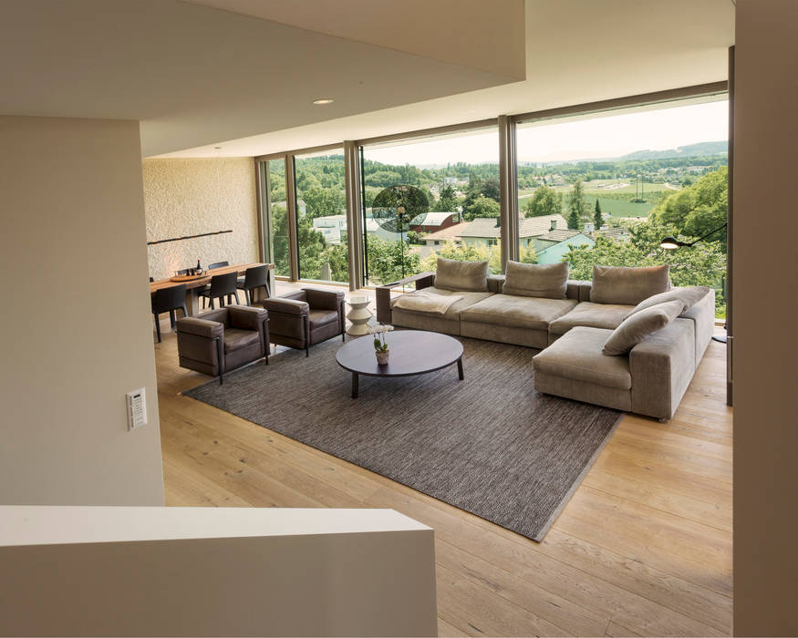 Objekt 340, meier architekten zürich meier architekten zürich Living room