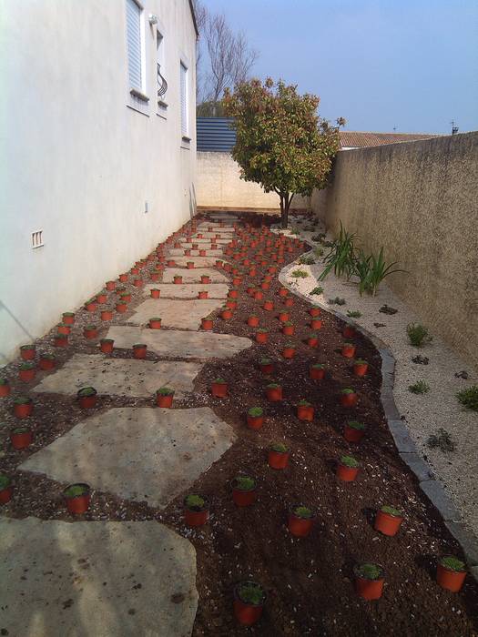 Aménagement d'un jardin ombragé, AEN Paysages AEN Paysages