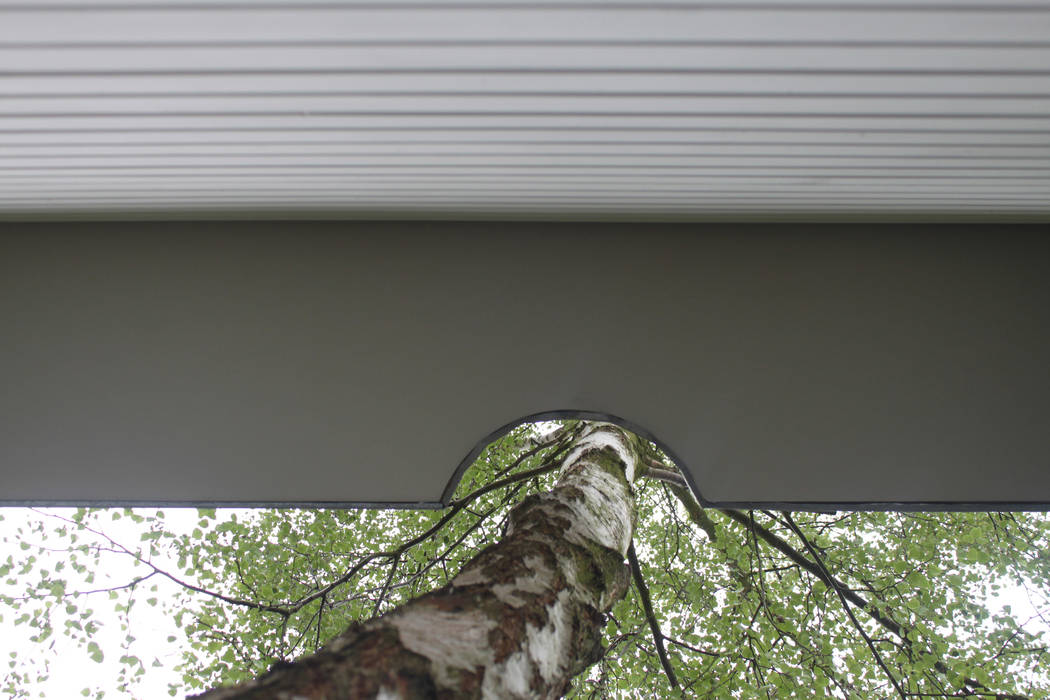 roof brandt+simon architekten Case moderne Legno Effetto legno semi-detached house,expansion,Berlin,wood facade,flat roof,attachment,white,extension,wooden house