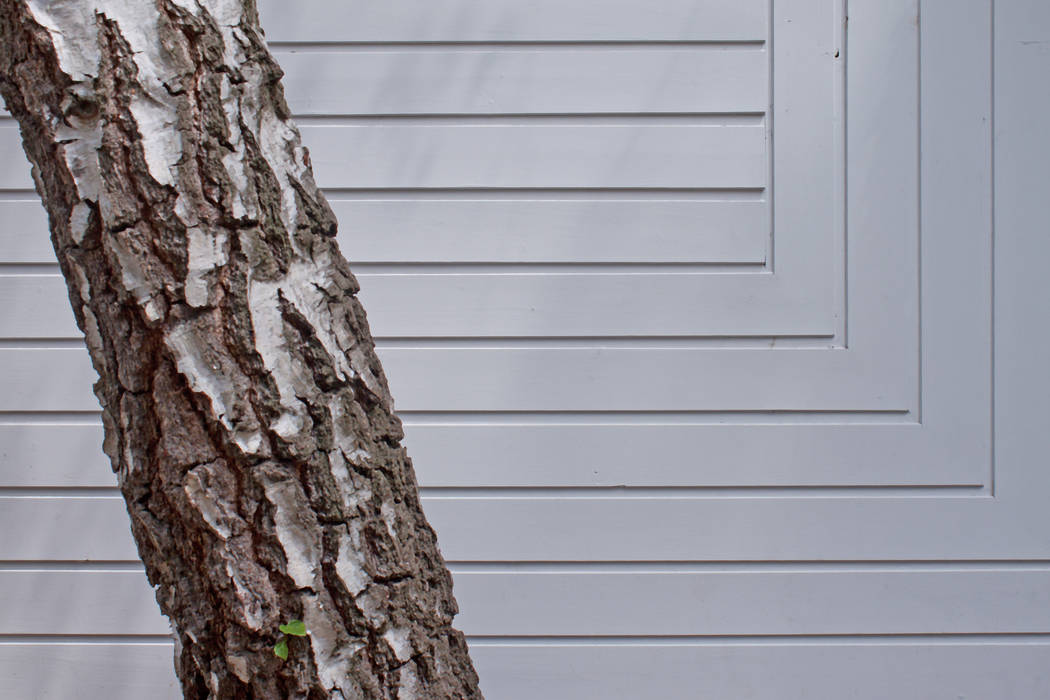 facade detail brandt+simon architekten Дома в стиле модерн Дерево Эффект древесины semi-detached house,extension,wood facade,Berlin,white,wooden house